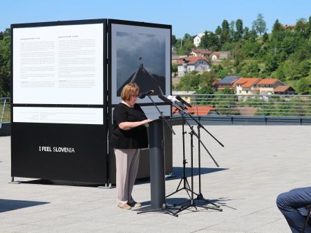dr. Vilma Brodnik, Zavod za šolstvo